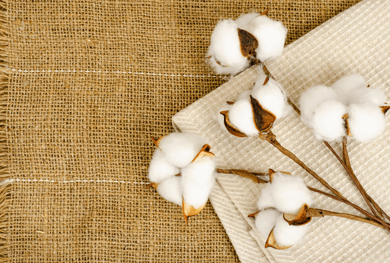 Chất liệu vải Cotton là gì?
